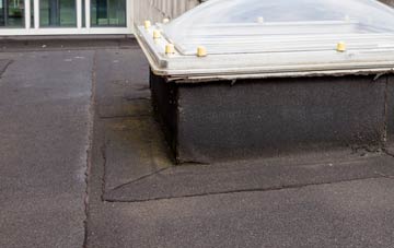 disadvantages of Liverton Mines flat roofs