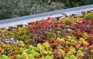 the cost of Liverton Mines green roof installation