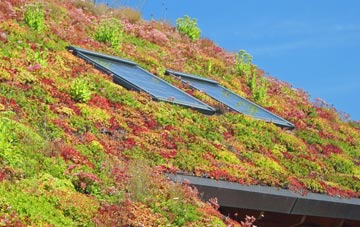 Liverton Mines living roof systems